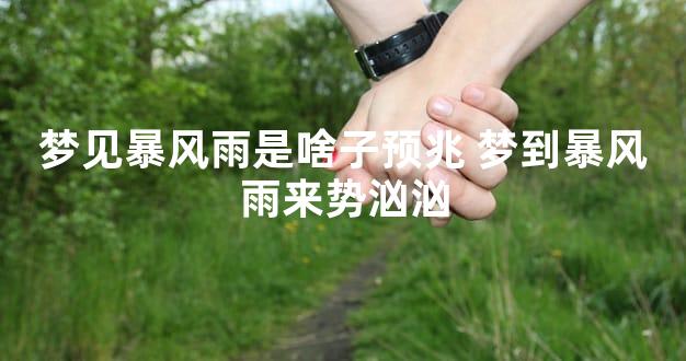 梦见暴风雨是啥子预兆 梦到暴风雨来势汹汹
